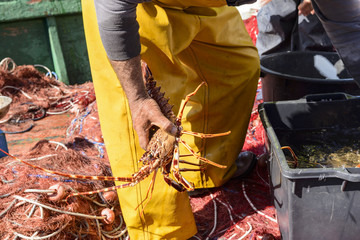Fishermen in the harbor