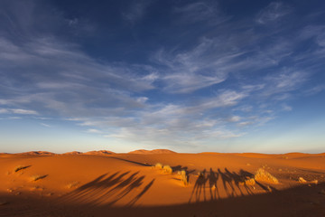 Fototapeta na wymiar Tourist Camel Caravana in Morocco Sahara with two bedouins walki