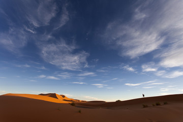 Photographers on dunes of desert Sahara, Morocco