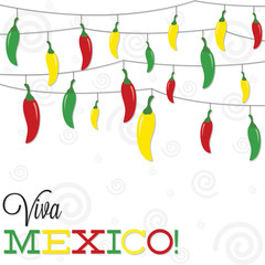 'Feliz Cinco de Mayo' (Happy 5th of May) strings of peppers in v