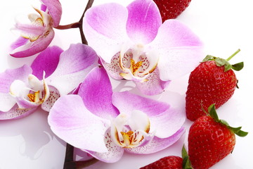 Orchidea e fragole