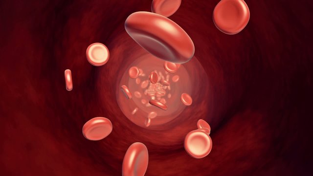 Blutzellen Animation