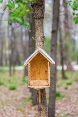 Handwork bird shelter made of chipboard and zinc in the woods during spring