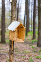 Handwork bird shelter made of chipboard and zinc in the woods during spring