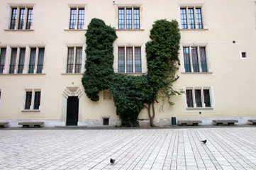 Polen, Krakau, Schloss © Gina Sanders