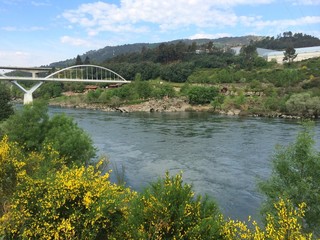 Fototapeta na wymiar Minho river, Orense, Galicia