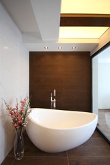 Stylish Bathtub