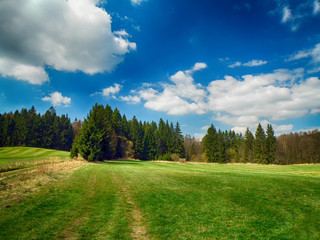 Landscape with meadows and trees