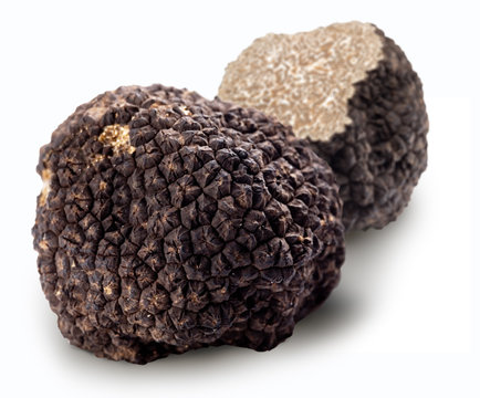 Black truffles.
