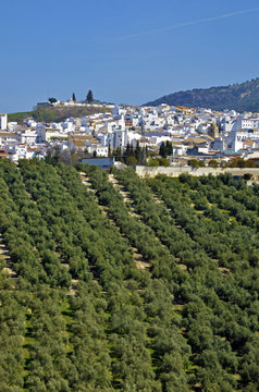 Rute, Cordoba (Spain)