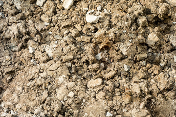 Rough dry soil texture background