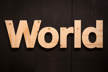 Fototapeta na wymiar World in Wood Type