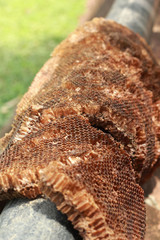 Honeycomb on the steel pipe