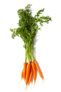 Bunch Of Carrots - Stock Photo