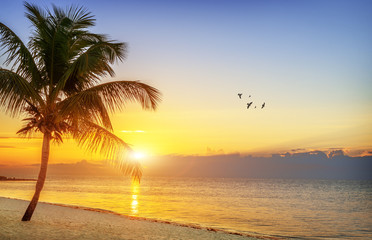 Obraz na płótnie Canvas Sunset on the beach