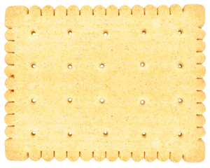 biscuit