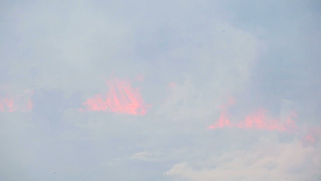 Пожар в тропиках