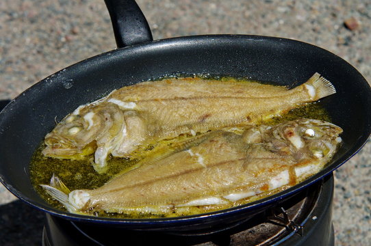 Limande Bilder Durchsuchen 297 Archivfotos, und Videos