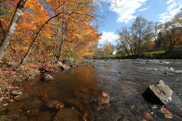 Couleurs d'automne au Qu&eacute;bec