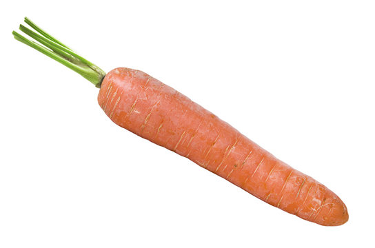 fresh carrot isolated