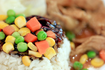 Roast pork with sauce on rice.