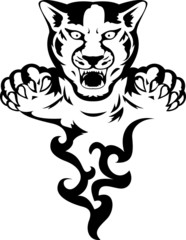 Wild panther attacking