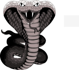 Obraz premium Cobra tattoo