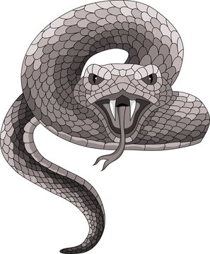 Vector Tattoo Snake