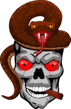 Skull with snake