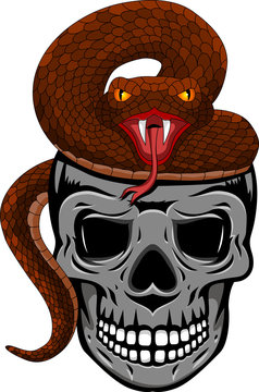 Skull with snake