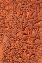 Cracked mud background