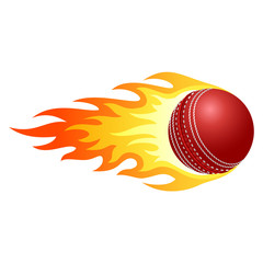 Flaming cricket ball - 64017429