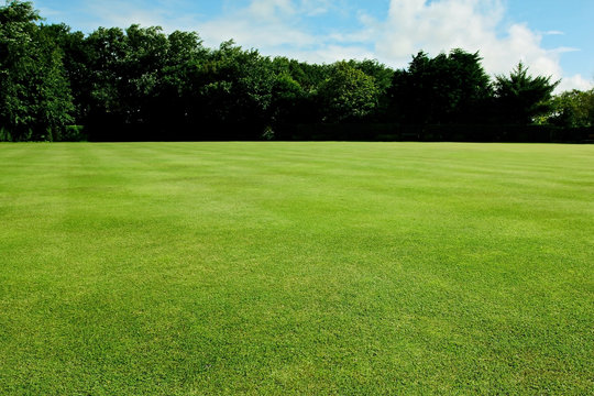 Green short cut grass sport field background © Oddpal