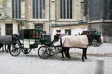 Fiaker Kutsche in Wien