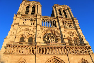 Fototapeta na wymiar La Cathédrale Notre Dame à Paris