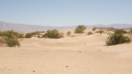 Mesquite Flat sand dunes