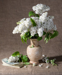 Blooming branches of lilac in vase and dollars