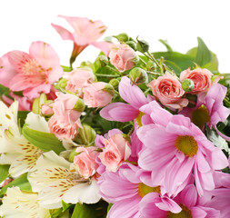 Beautiful flowers close up