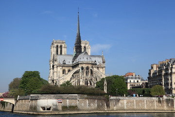 Fototapeta na wymiar Notre-Dame de Paris - Ile de la Cite