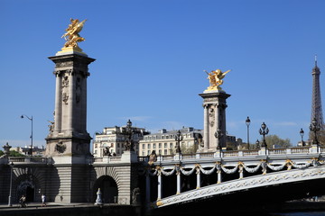 Fototapeta na wymiar Ponte Alexandre III - fiume Senna - Parigi