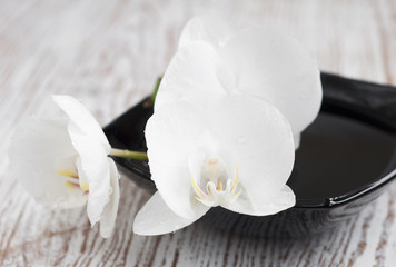 Fototapeta premium Orchids spa