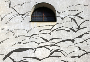 Shadows on the wall with a window, Birds