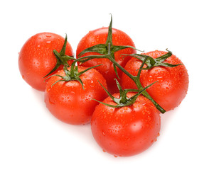 fresh tomatoes