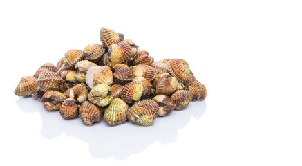 Raw, fresh cockle over white background