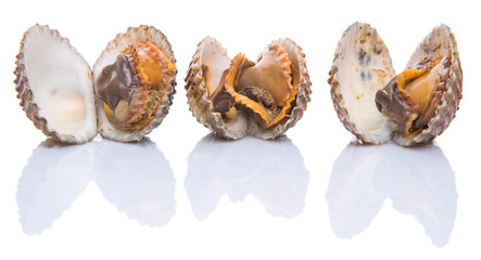 Raw, fresh cockle over white background