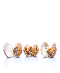 Raw, fresh cockle over white background