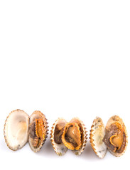 Raw, fresh cockle over white background