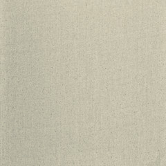 Fototapeta premium Linen texture with primed background