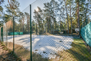 Small houses in the forest, spirng season