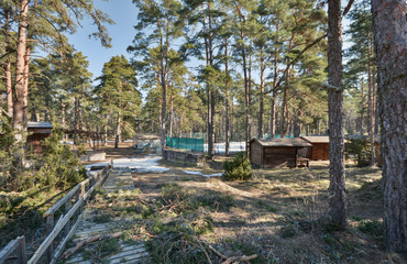 Fototapeta na wymiar Small houses in the forest, spirng season